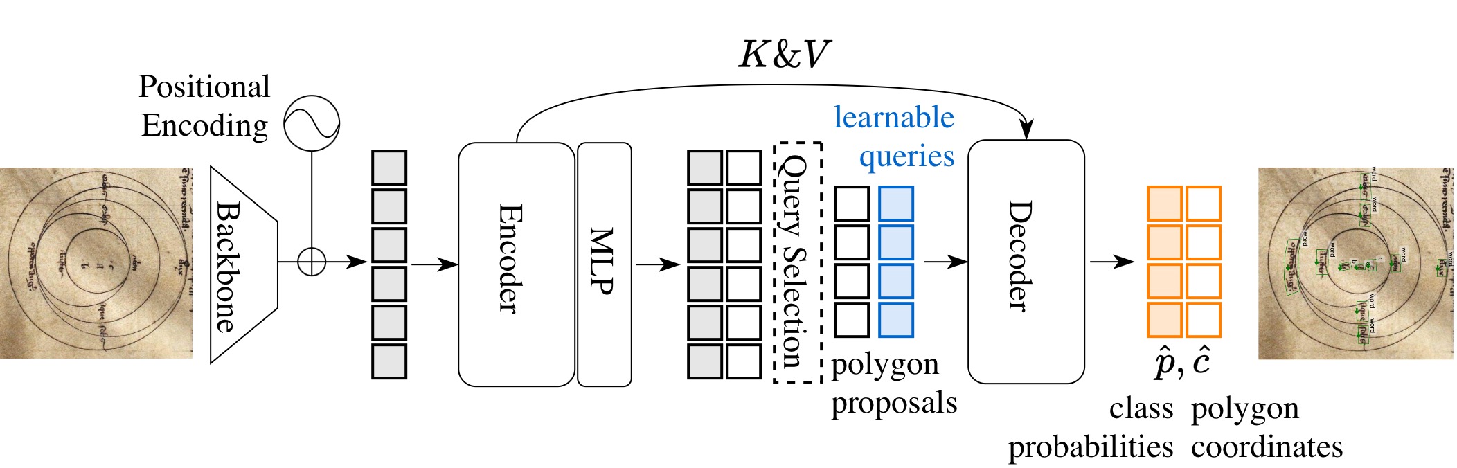 Poly-DETR Architecture